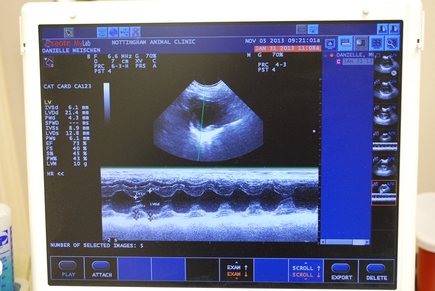 Nottingham Animal Clinic Ultrasound Image